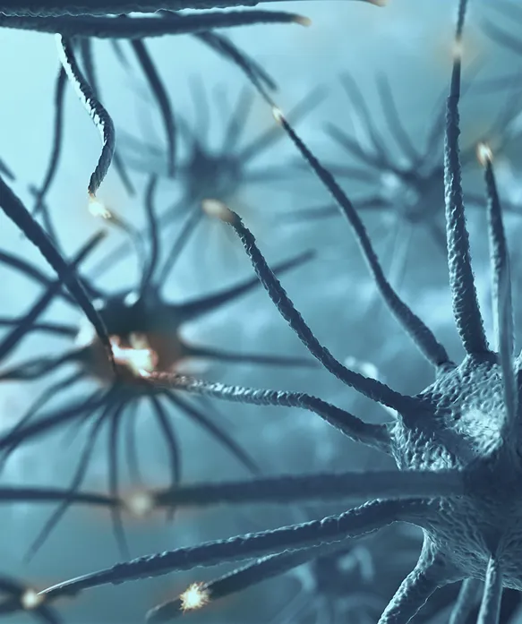 Spastik – das Symptom einer Nerven­schädigung